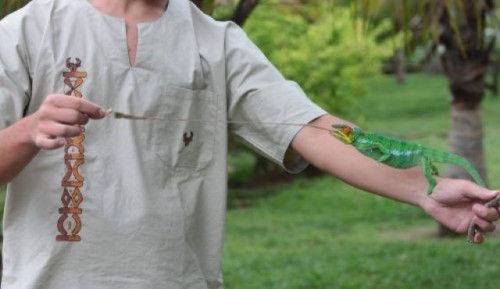 hornoxe.com_picdump261_074