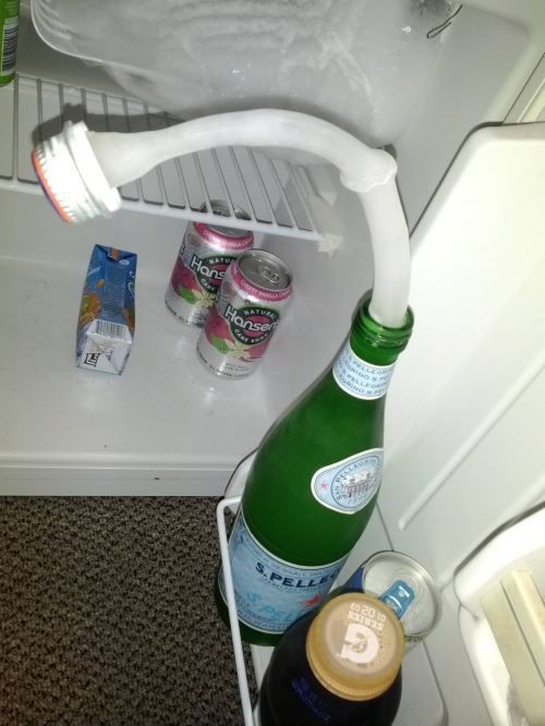 hornoxe.com_picdump261_094