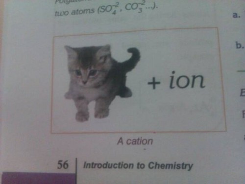 hornoxe.com_picdump261_099