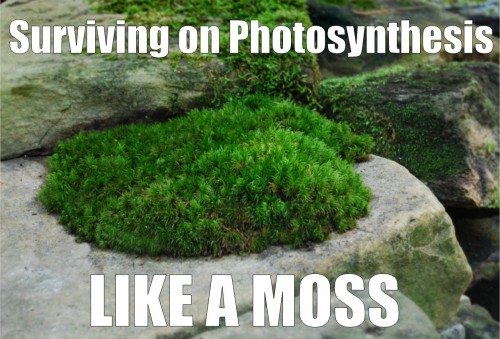 hornoxe.com_picdump261_143