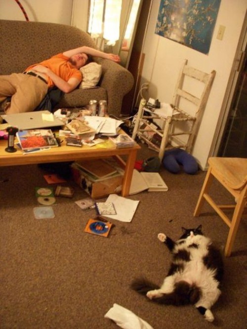 hornoxe.com_picdump262_003