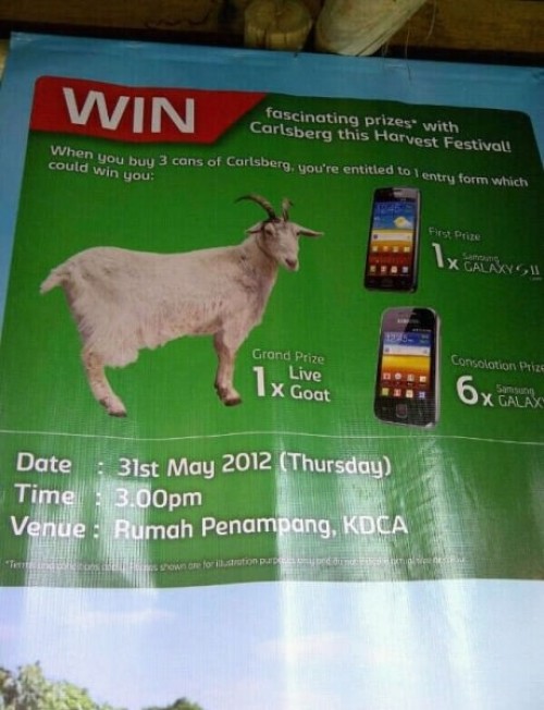 hornoxe.com_picdump262_004