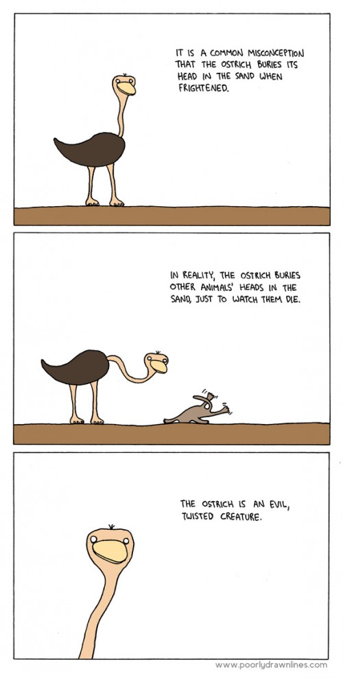 hornoxe.com_picdump262_040