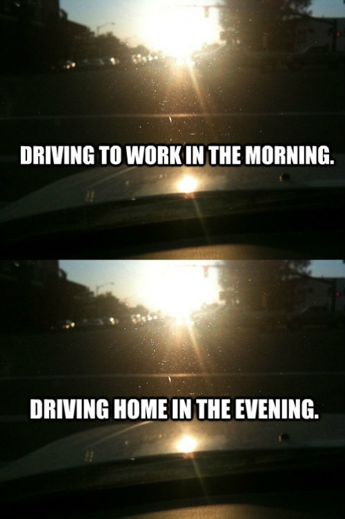 hornoxe.com_picdump262_044