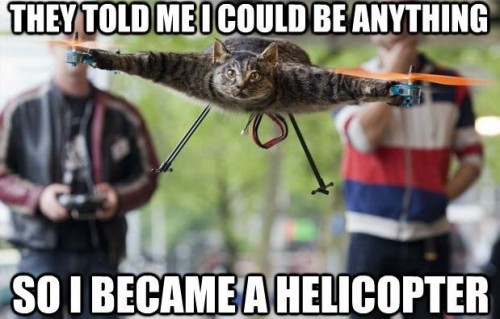 hornoxe.com_picdump262_049