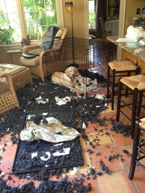 hornoxe.com_picdump262_056