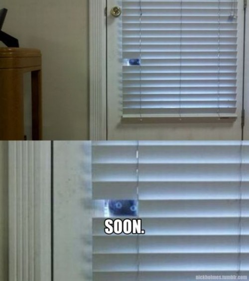 hornoxe.com_picdump262_069