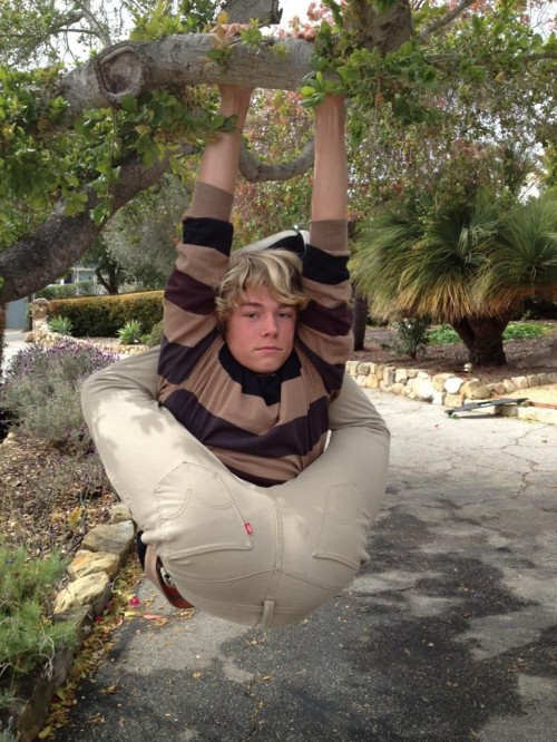 PUBLISHED by catsmob.com