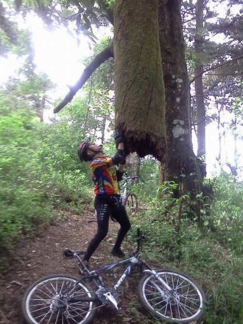 hornoxe.com_picdump262_073