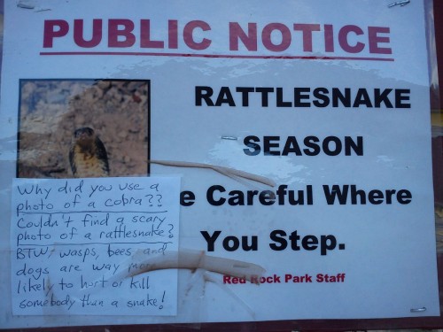 hornoxe.com_picdump262_088