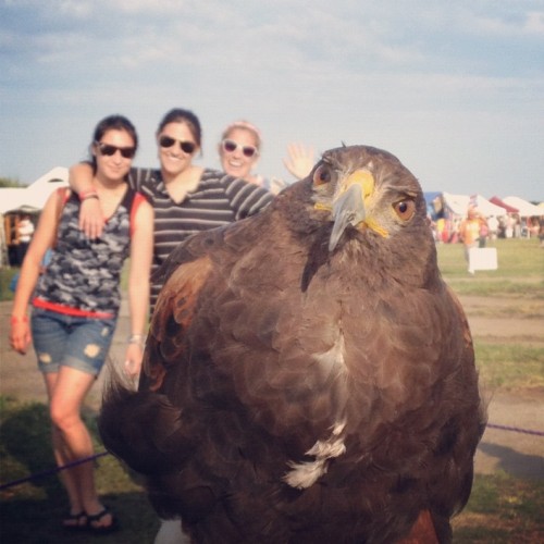 PUBLISHED by catsmob.com