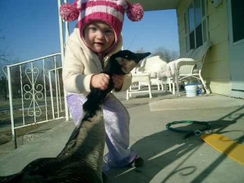 PUBLISHED by catsmob.com