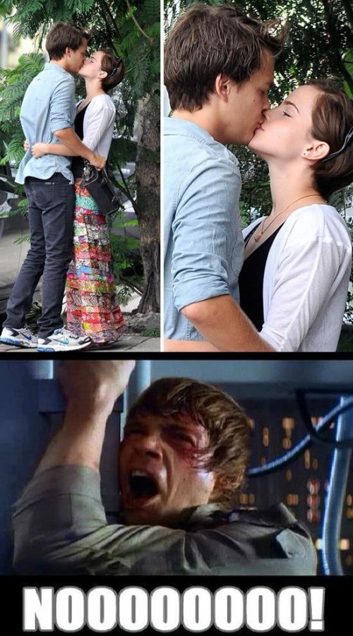 PUBLISHED by catsmob.com