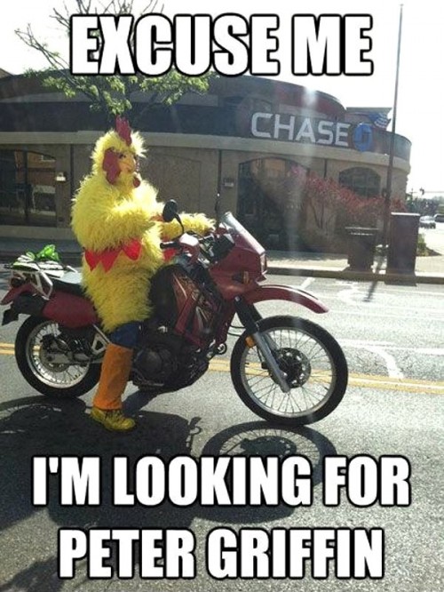 hornoxe.com_picdump263_003