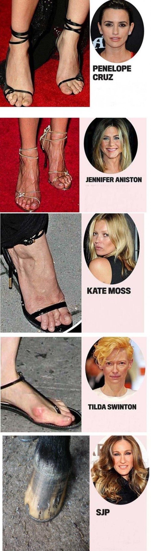 hornoxe.com_picdump263_033