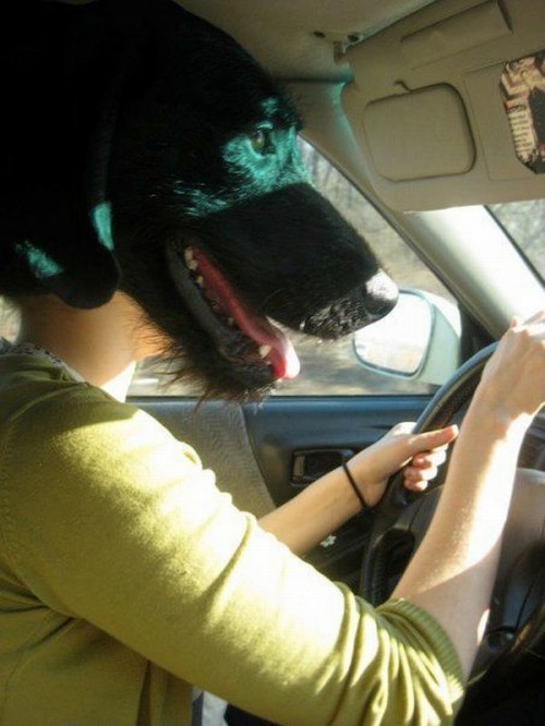 hornoxe.com_picdump263_092