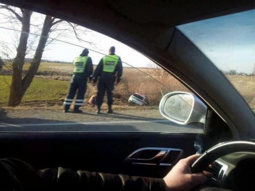 hornoxe.com_picdump263_100