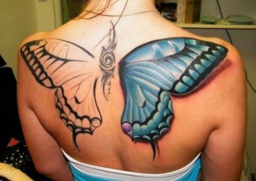 PUBLISHED by catsmob.com