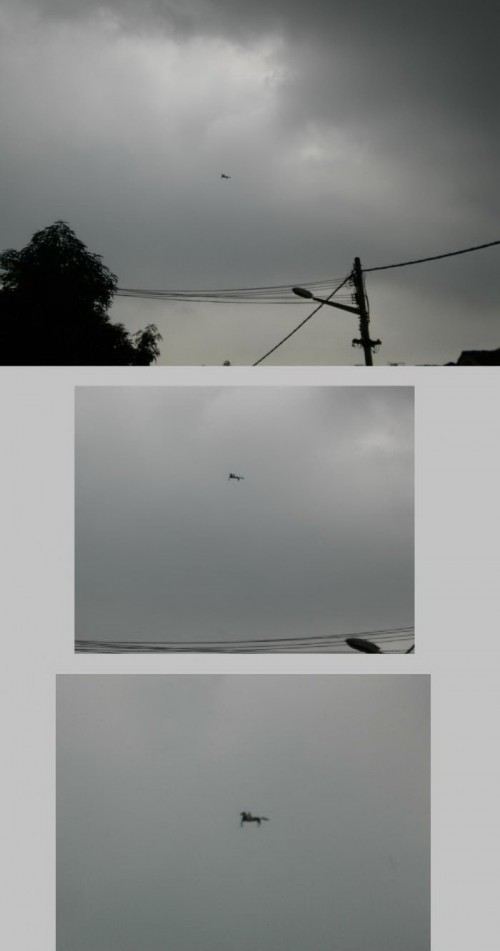 PUBLISHED by catsmob.com