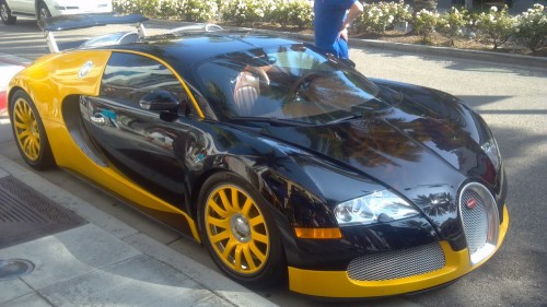 PUBLISHED by catsmob.com