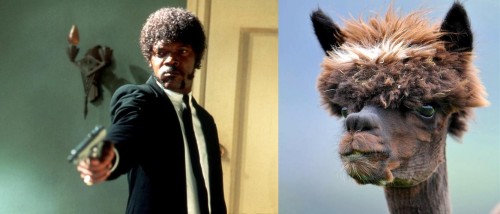 hornoxe.com_picdump263_151