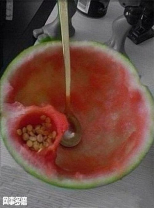 hornoxe.com_picdump263_155