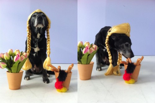 hornoxe.com_picdump263_161