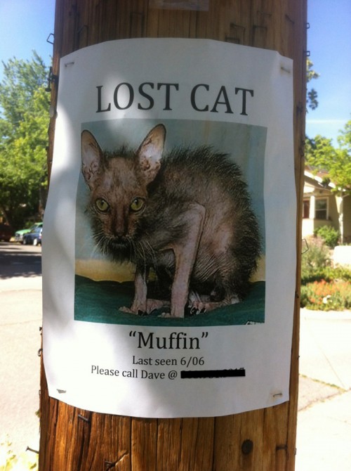 hornoxe.com_picdump264_041