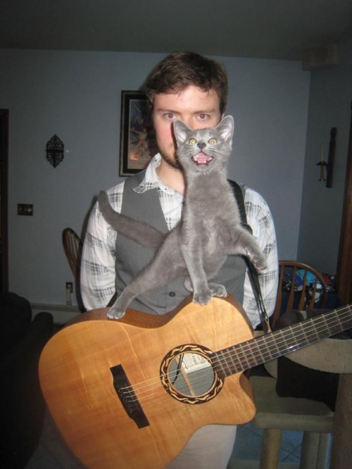 PUBLISHED by catsmob.com