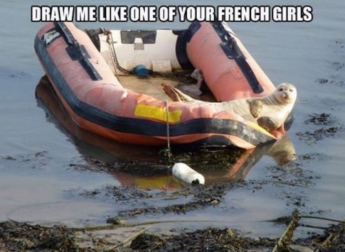 hornoxe.com_picdump264_095