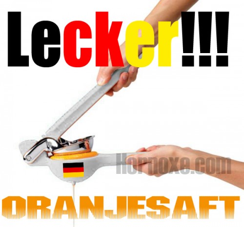 hornoxe.com_picdump264_135