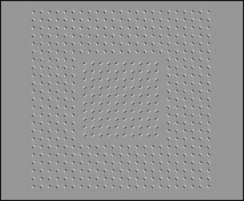 hornoxe.com_picdump265_031