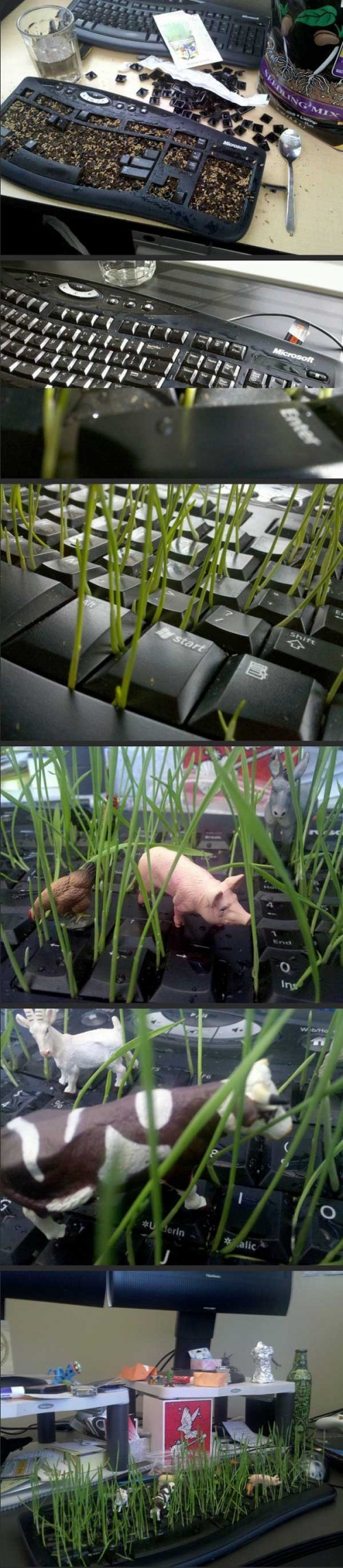 hornoxe.com_picdump265_039