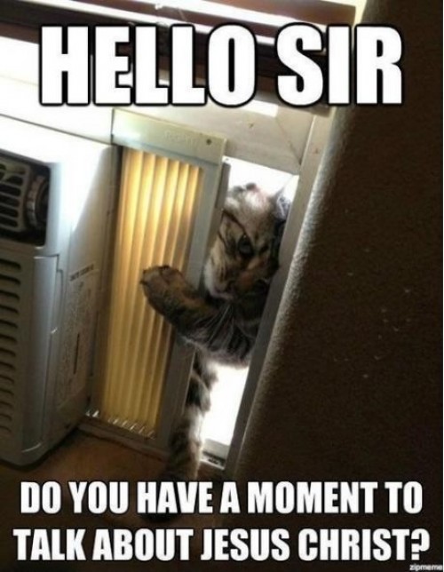 hornoxe.com_picdump265_052