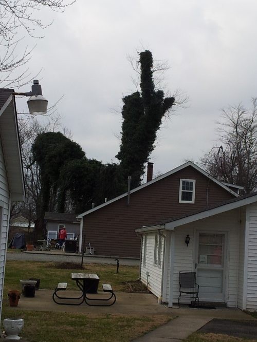 hornoxe.com_picdump265_054