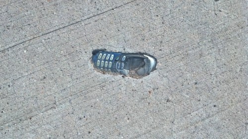 hornoxe.com_picdump265_068