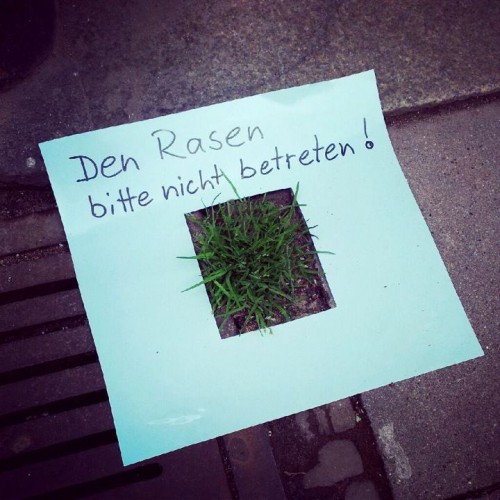 hornoxe.com_picdump265_091