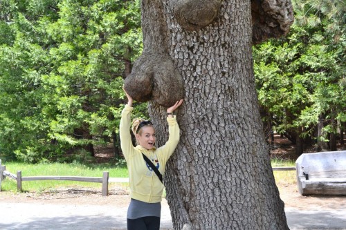 hornoxe.com_picdump265_103