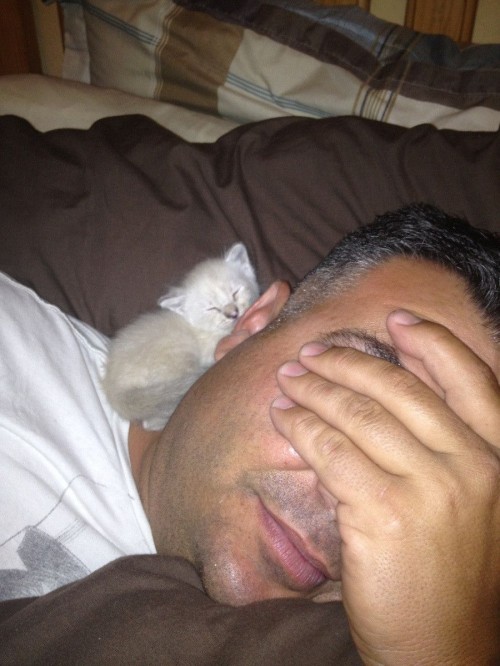 hornoxe.com_picdump265_122