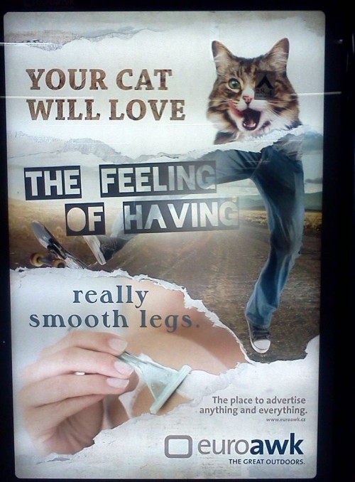 hornoxe.com_picdump265_130