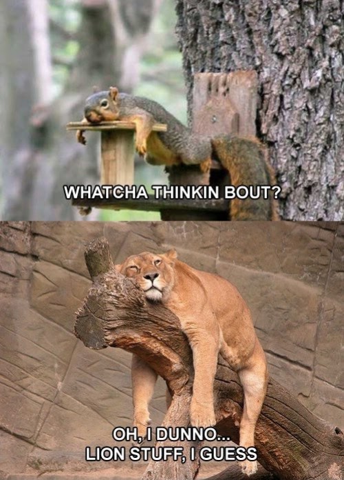 hornoxe.com_picdump265_139