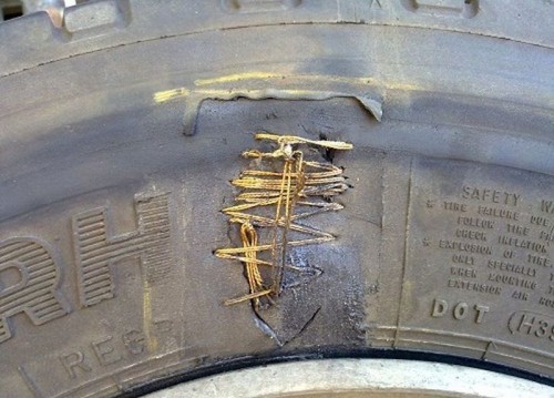 hornoxe.com_picdump265_169