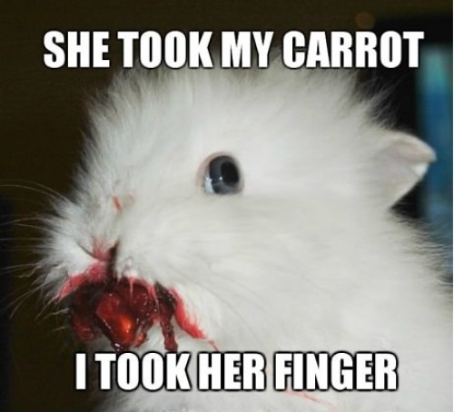 hornoxe.com_picdump266_020