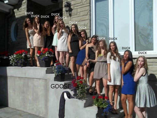 hornoxe.com_picdump266_040