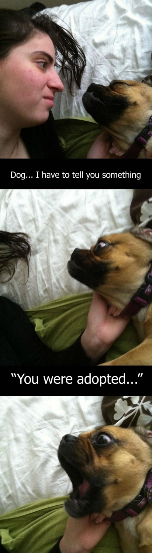 hornoxe.com_picdump266_045