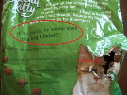 hornoxe.com_picdump266_061