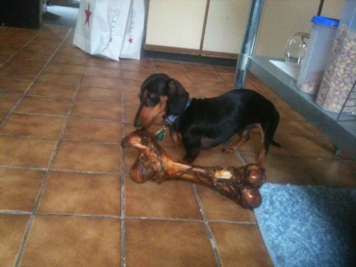 hornoxe.com_picdump266_108