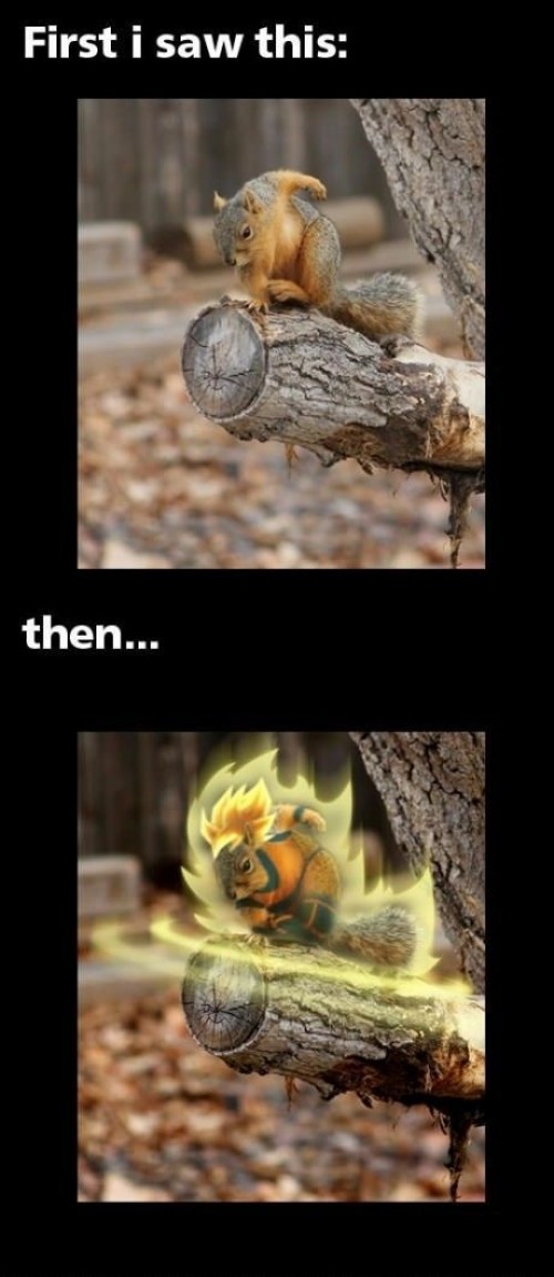 hornoxe.com_picdump266_112