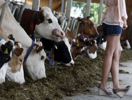 hornoxe.com_picdump266_114