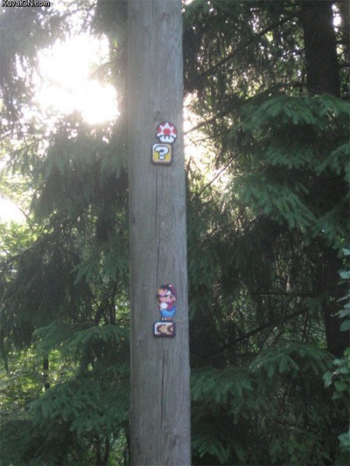 hornoxe.com_picdump266_127